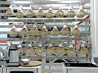 IMG-20161112-WA0059