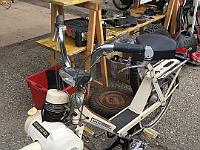 IMG 5451