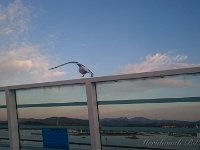 DSC 0762