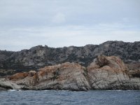 IMG 0545