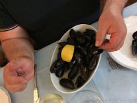 IMG 3952