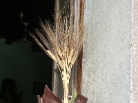 20180907 104443