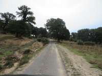 sardeg00068