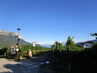 IMG 0040