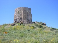 Sardegna 2011 147