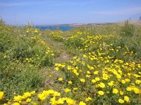 Sardegna 2011 148