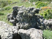 Sardegna 2011 330
