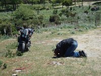 Sardegna2012 (57)