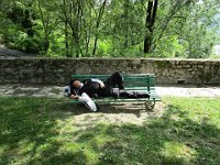 IMG 0080